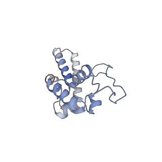 11099_6z6m_SN_v1-0
Cryo-EM structure of human 80S ribosomes bound to EBP1, eEF2 and SERBP1
