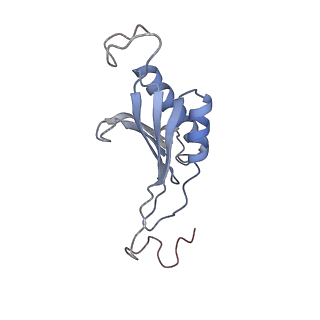 11099_6z6m_SO_v1-0
Cryo-EM structure of human 80S ribosomes bound to EBP1, eEF2 and SERBP1