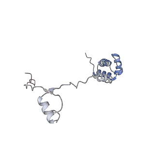 11099_6z6m_SR_v1-0
Cryo-EM structure of human 80S ribosomes bound to EBP1, eEF2 and SERBP1