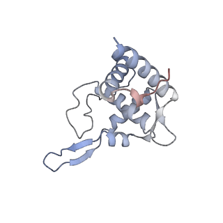 11099_6z6m_ST_v1-0
Cryo-EM structure of human 80S ribosomes bound to EBP1, eEF2 and SERBP1