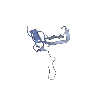 11099_6z6m_SV_v1-0
Cryo-EM structure of human 80S ribosomes bound to EBP1, eEF2 and SERBP1