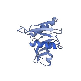 11099_6z6m_SW_v1-0
Cryo-EM structure of human 80S ribosomes bound to EBP1, eEF2 and SERBP1
