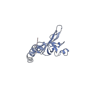 11099_6z6m_SX_v1-0
Cryo-EM structure of human 80S ribosomes bound to EBP1, eEF2 and SERBP1