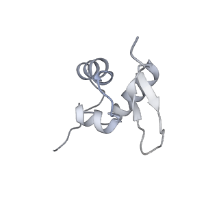 11099_6z6m_SZ_v1-0
Cryo-EM structure of human 80S ribosomes bound to EBP1, eEF2 and SERBP1