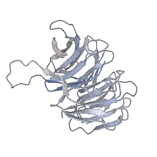11099_6z6m_Sg_v1-0
Cryo-EM structure of human 80S ribosomes bound to EBP1, eEF2 and SERBP1