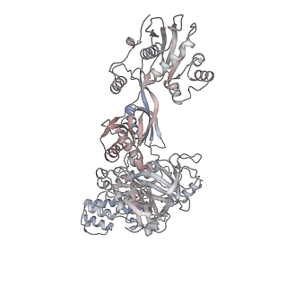 11100_6z6n_CB_v1-0
Cryo-EM structure of human EBP1-80S ribosomes (focus on EBP1)