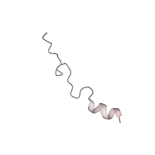 11100_6z6n_CD_v1-0
Cryo-EM structure of human EBP1-80S ribosomes (focus on EBP1)