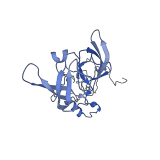 11100_6z6n_LA_v1-0
Cryo-EM structure of human EBP1-80S ribosomes (focus on EBP1)