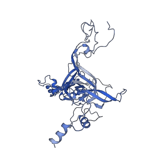 11100_6z6n_LB_v1-0
Cryo-EM structure of human EBP1-80S ribosomes (focus on EBP1)