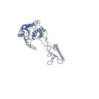 11100_6z6n_LC_v1-0
Cryo-EM structure of human EBP1-80S ribosomes (focus on EBP1)