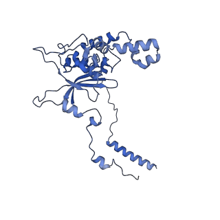 11100_6z6n_LD_v1-0
Cryo-EM structure of human EBP1-80S ribosomes (focus on EBP1)