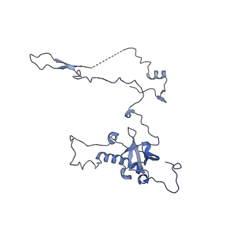 11100_6z6n_LE_v1-0
Cryo-EM structure of human EBP1-80S ribosomes (focus on EBP1)