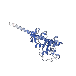 11100_6z6n_LF_v1-0
Cryo-EM structure of human EBP1-80S ribosomes (focus on EBP1)