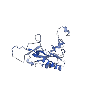 11100_6z6n_LI_v1-0
Cryo-EM structure of human EBP1-80S ribosomes (focus on EBP1)