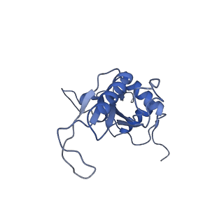 11100_6z6n_LJ_v1-0
Cryo-EM structure of human EBP1-80S ribosomes (focus on EBP1)