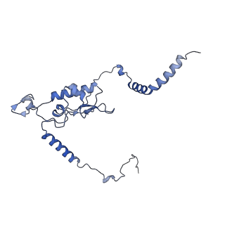 11100_6z6n_LL_v1-0
Cryo-EM structure of human EBP1-80S ribosomes (focus on EBP1)