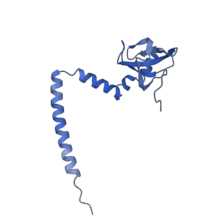 11100_6z6n_LM_v1-0
Cryo-EM structure of human EBP1-80S ribosomes (focus on EBP1)