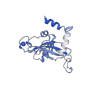 11100_6z6n_LN_v1-0
Cryo-EM structure of human EBP1-80S ribosomes (focus on EBP1)