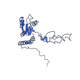 11100_6z6n_LQ_v1-0
Cryo-EM structure of human EBP1-80S ribosomes (focus on EBP1)
