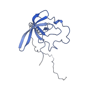 11100_6z6n_LT_v1-0
Cryo-EM structure of human EBP1-80S ribosomes (focus on EBP1)