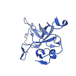 11100_6z6n_LV_v1-0
Cryo-EM structure of human EBP1-80S ribosomes (focus on EBP1)