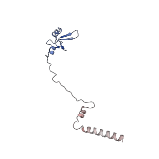 11100_6z6n_LW_v1-0
Cryo-EM structure of human EBP1-80S ribosomes (focus on EBP1)