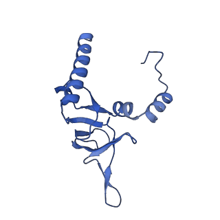 11100_6z6n_LY_v1-0
Cryo-EM structure of human EBP1-80S ribosomes (focus on EBP1)