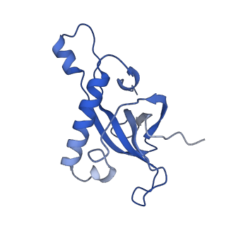 11100_6z6n_LZ_v1-0
Cryo-EM structure of human EBP1-80S ribosomes (focus on EBP1)