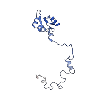 11100_6z6n_La_v1-0
Cryo-EM structure of human EBP1-80S ribosomes (focus on EBP1)