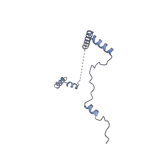 11100_6z6n_Lb_v1-0
Cryo-EM structure of human EBP1-80S ribosomes (focus on EBP1)