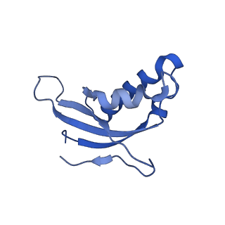 11100_6z6n_Ld_v1-0
Cryo-EM structure of human EBP1-80S ribosomes (focus on EBP1)