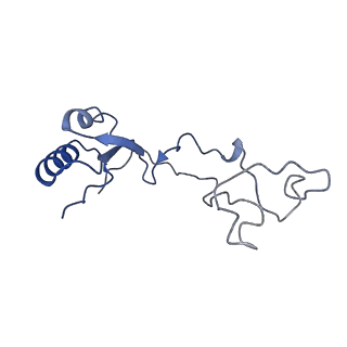 11100_6z6n_Le_v1-0
Cryo-EM structure of human EBP1-80S ribosomes (focus on EBP1)