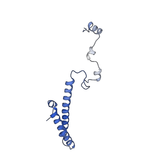 11100_6z6n_Lh_v1-0
Cryo-EM structure of human EBP1-80S ribosomes (focus on EBP1)