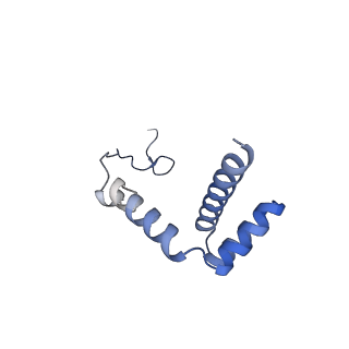 11100_6z6n_Li_v1-0
Cryo-EM structure of human EBP1-80S ribosomes (focus on EBP1)