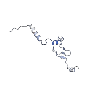 11100_6z6n_Lj_v1-0
Cryo-EM structure of human EBP1-80S ribosomes (focus on EBP1)