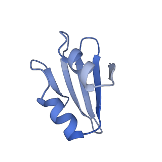 11100_6z6n_Lk_v1-0
Cryo-EM structure of human EBP1-80S ribosomes (focus on EBP1)