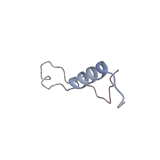 11100_6z6n_Ll_v1-0
Cryo-EM structure of human EBP1-80S ribosomes (focus on EBP1)