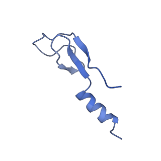 11100_6z6n_Lm_v1-0
Cryo-EM structure of human EBP1-80S ribosomes (focus on EBP1)
