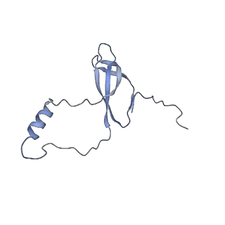 11100_6z6n_Lo_v1-0
Cryo-EM structure of human EBP1-80S ribosomes (focus on EBP1)