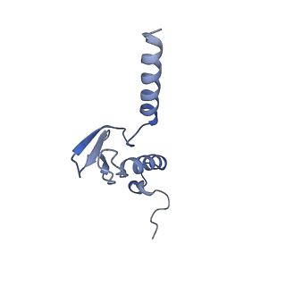 11100_6z6n_Lp_v1-0
Cryo-EM structure of human EBP1-80S ribosomes (focus on EBP1)