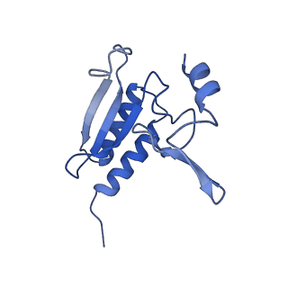 11100_6z6n_Lr_v1-0
Cryo-EM structure of human EBP1-80S ribosomes (focus on EBP1)