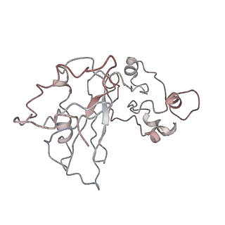 11100_6z6n_Lz_v1-0
Cryo-EM structure of human EBP1-80S ribosomes (focus on EBP1)
