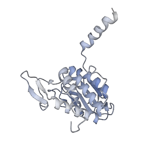 11100_6z6n_SA_v1-0
Cryo-EM structure of human EBP1-80S ribosomes (focus on EBP1)