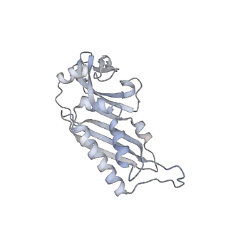 11100_6z6n_SB_v1-0
Cryo-EM structure of human EBP1-80S ribosomes (focus on EBP1)