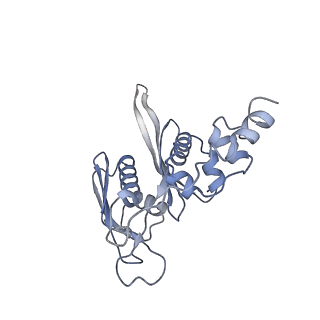 11100_6z6n_SC_v1-0
Cryo-EM structure of human EBP1-80S ribosomes (focus on EBP1)