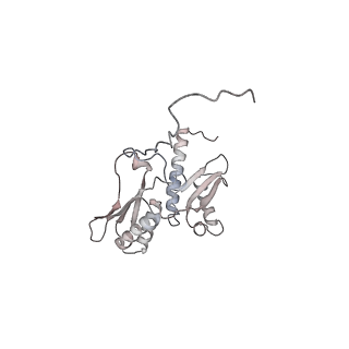 11100_6z6n_SD_v1-0
Cryo-EM structure of human EBP1-80S ribosomes (focus on EBP1)