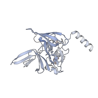 11100_6z6n_SE_v1-0
Cryo-EM structure of human EBP1-80S ribosomes (focus on EBP1)