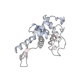11100_6z6n_SF_v1-0
Cryo-EM structure of human EBP1-80S ribosomes (focus on EBP1)