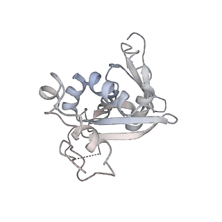 11100_6z6n_SH_v1-0
Cryo-EM structure of human EBP1-80S ribosomes (focus on EBP1)