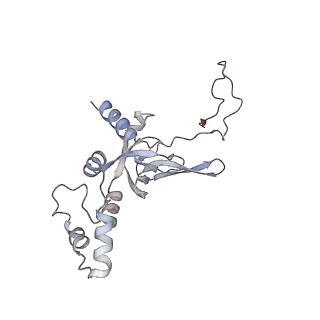 11100_6z6n_SI_v1-0
Cryo-EM structure of human EBP1-80S ribosomes (focus on EBP1)